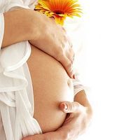 Первые признаки шевеления ребенка Первые признаки шевеления ребенка