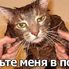 ЖенаДипломата ЖенаДипломата