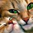 ♥Ольга♥Натальевна♥ ♥Ольга♥Натальевна♥
